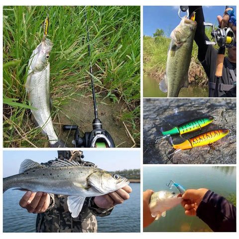 Whopper Bass Topwater Lure Kit: 10 Pcs Plopper Lures ✓