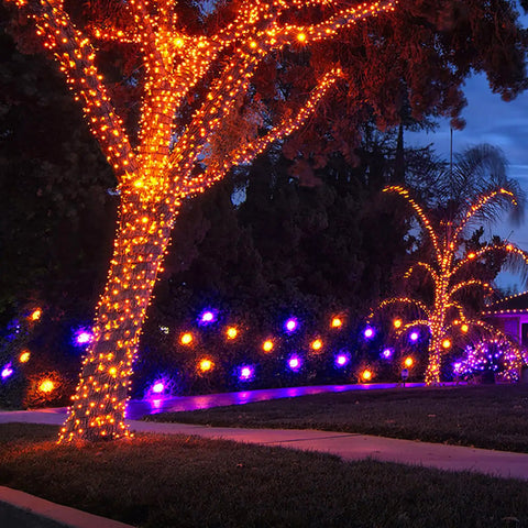 Two Pack Solar Christmas String Lights With Remote And Timer, Each 105Ft Long With 300 LEDs, outdoor trees decoration in warm white