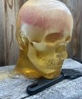 Life-Size Gel Head Target For Shooting And Archery, No Blood Skull And Brain Prop on wooden surface outdoors