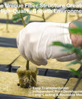 Gloved hand transplanting seedling in Rockwool Cubes 1 Inch for Hydroponics Great for Rooting Cuttings and Clones Seed Germination.