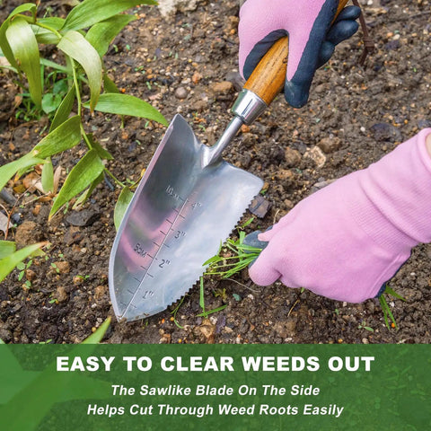 Garden Trowel With Serrated Edge And Four Inch Depth Marks, Stainless Steel Blade With Comfortable Wood Handle, V Shaped Sharp Edge For Planting And Weeding, Built For No Fuss Weeding being used to clear weeds