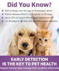 10 Parameter Urinalysis Test Strips For Pets A Complete Urine Test Kit For Dogs And Cats Including Leukocytes Glucose Bilirubin Ketones Specific Gravity Blood pH Protein Urobilinogen And Nitrite infographic with dog and kitten