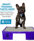 Dog standing on KLIMB Jr Dog Training Platform For Behavior Basics With DIY Guide Safe Space To Stop Begging Jumping And Barking