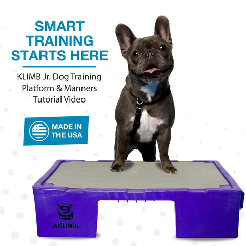 Dog standing on KLIMB Jr Dog Training Platform For Behavior Basics With DIY Guide Safe Space To Stop Begging Jumping And Barking