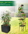 Two Pack Raised Garden Bed Planter Boxes With Trellis For A 57 Inch Self Watering Tomato Planter Box Set.