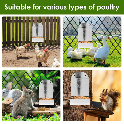 Durable Outdoor Premium Galvanized Steel Oyster Shell And Chicken Grit Feeder featuring roomy hopper auto gravity dispenser, suitable for various poultry.