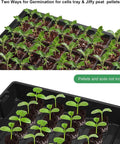 Top view of Seed Starter Tray Kit 5 Pack Propagator showing young seedlings in black tray with 40 cells for plant observation.