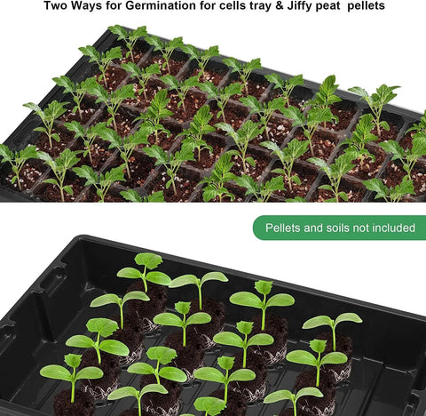 Top view of Seed Starter Tray Kit 5 Pack Propagator showing young seedlings in black tray with 40 cells for plant observation.