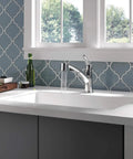 Modern kitchen with Collins Single Handle Kitchen Sink Faucet With Pull Out Sprayer And Magnetic Docking That Snaps In Chrome Finish