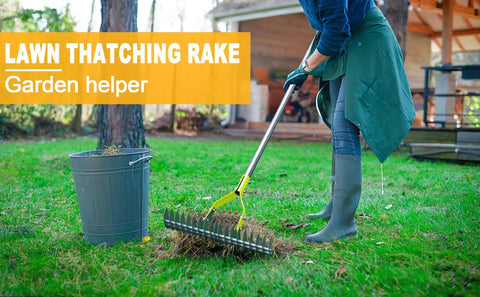 Person using Dethatching Rake For Lawn Care, 15 Inch Wide Thatch Rake with Stainless Steel Tines and Adjustable Handle on grass