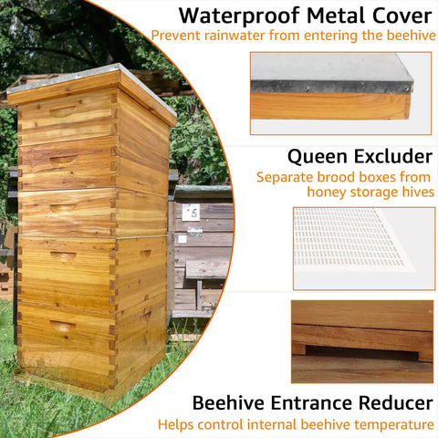 Five-Layer Langstroth Beehive Kit Plug-N-Play With Two Deep Breeding Boxes And Three Medium Super Boxes with accessories