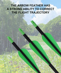 60 Pack 3 Inch TPU Plastic Arrow Fletchings Vanes for DIY Archery Bow shown with green vanes and background forest.