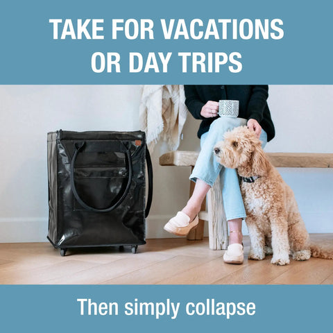 90L Collapsible Rolling Tote With Wheels For Groceries And Laundry, black tote beside seated person and dog indoors