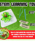 Frog Dissection Kit For Kids Ages 6 Plus With Carvable Model Dissecting Tray Plastic Tools And Clear Instructions Safe Gelatin Like Material For Realistic At Home STEM Learning, tray and tools shown