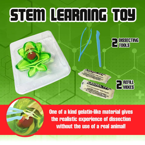 Frog Dissection Kit For Kids Ages 6 Plus With Carvable Model Dissecting Tray Plastic Tools And Clear Instructions Safe Gelatin Like Material For Realistic At Home STEM Learning, tray and tools shown