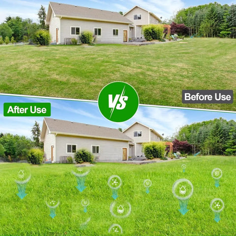 Lawn comparison before and after using 21 Inch Lawn Aerator Workhorse Heavy Duty Manual Tool With 50 Inch Metal Handle.