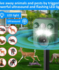 Solar Powered Outdoor Animal Repeller 2 Pack Ultrasonic Pest Deterrent With Motion Sensor And Flashing Light Waterproof Design Usb Charging Dual Power For Your Yard Guard Against Cats Deer Dogs Squirrels Easy Install Green mounted in a garden