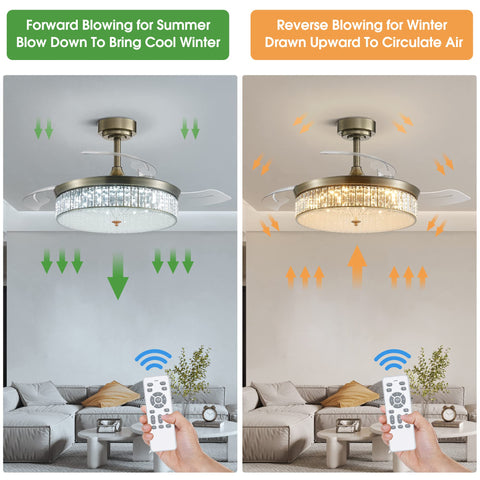 42 Inch Dimmable Fandelier Ceiling Fan With Light And Remote Control, showing forward and reverse airflow for summer and winter use.