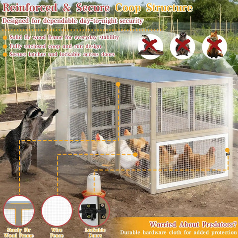 Large Outdoor Chicken Coop With Run For 6 To 8 Chickens Two Tier Side Nesting Boxes Four Lockable Egg Doors Asphalt Roof