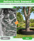 Image comparing tree roots before and after using Root Barrier 12In By 15Ft By 60Mil For Trees, Recycled HDPE Landscape Edging Roll.