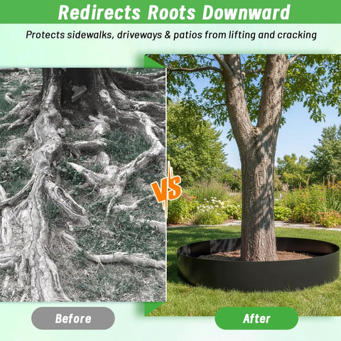 Image comparing tree roots before and after using Root Barrier 12In By 15Ft By 60Mil For Trees, Recycled HDPE Landscape Edging Roll.