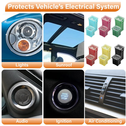 Close-up of automotive features and a 36 Piece Automotive Fuse Assortment Kit With Tall Standard And Low Profile Box Fuses In 20A to 80A Ratings.