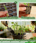 50 Pcs Rooting Sponges And Starter Plugs For Seedlings Or Cuttings, Fast Rooting For Soil, Tray Or Planting Pods plant growth steps