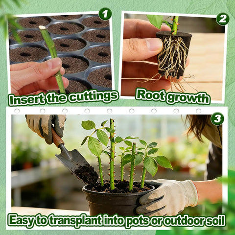 50 Pcs Rooting Sponges And Starter Plugs For Seedlings Or Cuttings, Fast Rooting For Soil, Tray Or Planting Pods plant growth steps