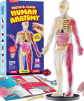 Squishy Human Anatomy Body Model With 30 Removable Parts For Kids Aged 4 8, showing packaging and assembled model with organs.