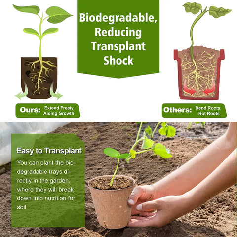 Comparison of Eco Friendly Peat Pots For Seedlings 3.15 Inch Biodegradable Seed Starter Pots With Ten Plant Labels And Drainage Holes No Mess 40 Pack For Indoor And Outdoor Garden Germination showing easy transplantation and healthier roots.