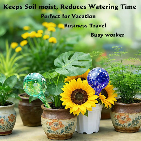 Six Pack Colorful Glass Plant Watering Globes For Indoor Pots And Outdoor Hanging Plants Self Watering Bulbs For Vacation Plant Care No Fuss Drip Irrigation System Easy Garden Patio Watering Solution in flower pots