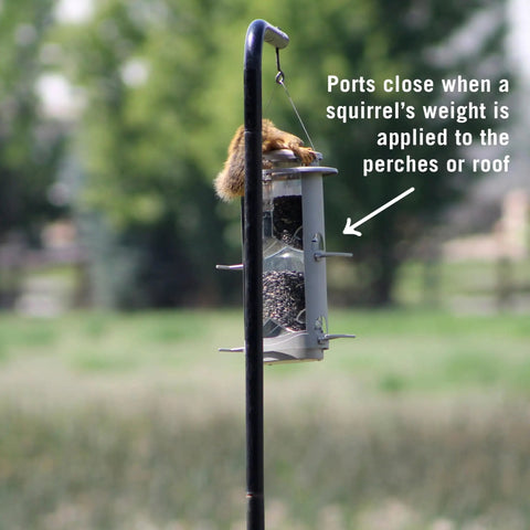 X-1 Squirrel-Proof Bird Feeder with Four Feeding Ports and 4.2 Pound Seed Capacity hanging on a pole with a squirrel on top