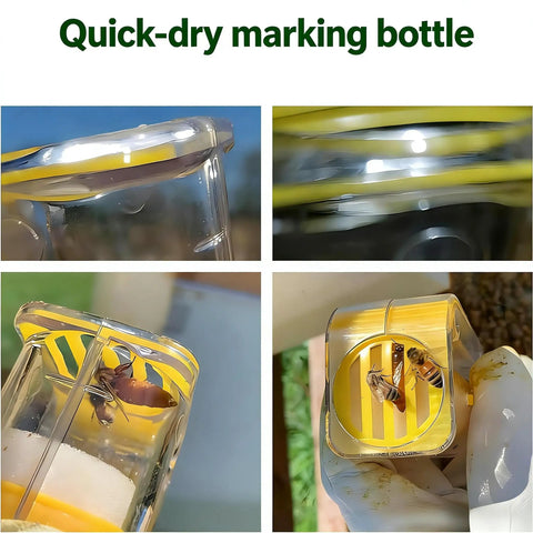 Close-up of Six Piece Queen Bee Catcher Cage Set for Beekeeping with quick-dry marking bottle usage.