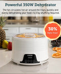 Compact Food Dehydrator With 5 Spacious Trays, Adjustable 95 To 165 Fahrenheit Temp, 48 Hour Timer on kitchen countertop with fruit.