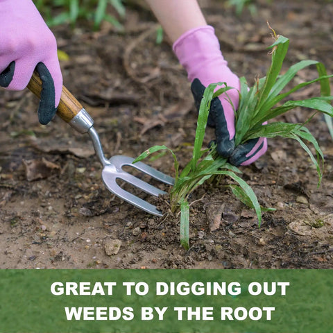 Heavy Duty Weeding Fork With Sharp Tines And Comfortable Wood Handle For Fast Weed Uprooting shown in use on garden weeds