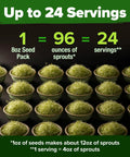 Alfalfa Sprout Seeds 8 Oz Bulk Heirloom Non GMO USA Sourced High Germination Fast Growing Microgreens Nutrient Dense Sprouts
