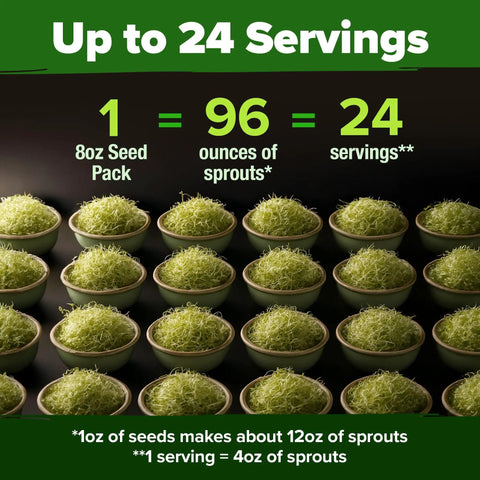 Alfalfa Sprout Seeds 8 Oz Bulk Heirloom Non GMO USA Sourced High Germination Fast Growing Microgreens Nutrient Dense Sprouts