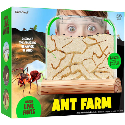 Box showing Ant Farm Kit For Kids And Curious Learners Complete Colony Setup With Sand Habitat And Living Ants Voucher Included