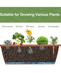 Cross-section of a planter box ideal for growing succulents, fruits, flowers, herbs, and vegetables in a five-tier vertical garden bed.