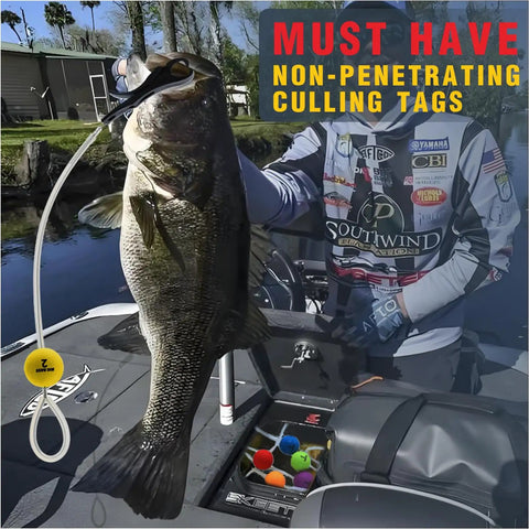 Non Puncture Bass Fishing Cull Tags Set With Six Color Coded Tags And Buoy Keeper used on bass by angler in boat.