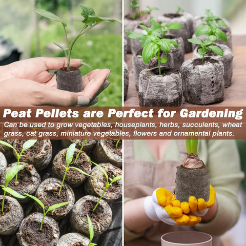 55 Pack 36mm Peat Pellets For Seedlings Seed Starters Plugs Soil Discs That Expand When Wet in use growing seedlings