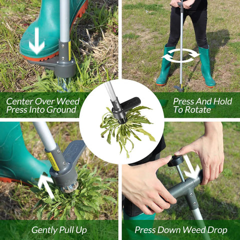 Steps showing how to use the Upgraded Stand Up Weed Puller With 38 Inch Long Handle Five Claw Root Puller to remove weeds.