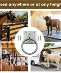 Heavy Duty Horse Tie Ring Square Wall Mounted Fastener for ground ties and stable setup on barn and trailer