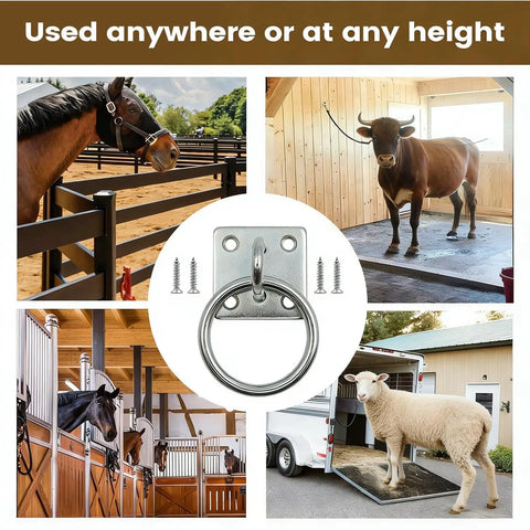 Heavy Duty Horse Tie Ring Square Wall Mounted Fastener for ground ties and stable setup on barn and trailer