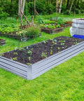 Beefy Galvanized Raised Garden Bed 8x4x1 Ft With Overlapping 4 Inch Panels And 4 Support Bars set up outdoors with soil and plants