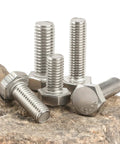 780 Piece Hex Bolts And Nuts Kit In 304 Stainless Steel With M3 M4 M5 M6 Metric Bolts on textured rock surface