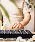 Person using 4 Pack Seed Starter Tray Kit With Humidity Dome And Base, 24 Cell Black Plastic Seedling Trays, Includes 100 Peat Pellets