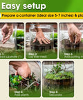 Step-by-step process of using All In One Terrarium Kit With Premium Soil Mix Pumice Zeolite Moss Sphagnum Moss Decorative Stones Mesh
