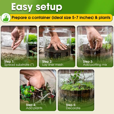 terrarium potting mix All In One Terrarium Kit for DIY Terrariums ✓