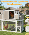 Large Chicken Coop With Four Nesting Boxes For Four To Six Hens Outdoor Wooden Poultry Cage With Pull Out Tray in backyard
